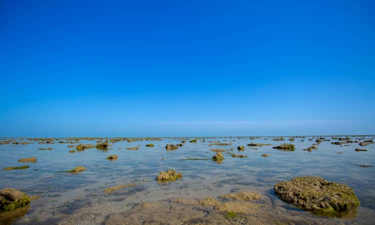 Places to visit in Gujarat