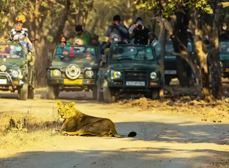 Gir National Park Gujarat