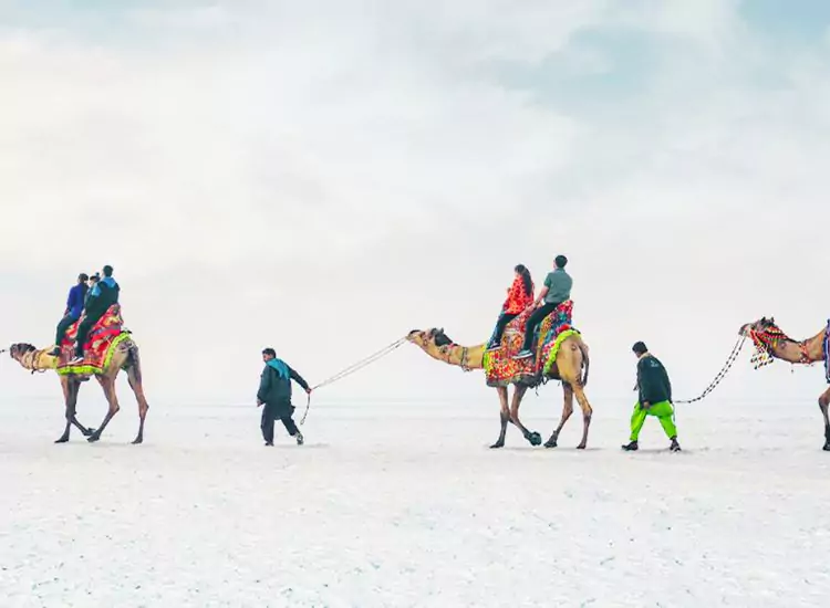 Rann of Kutch Gujarat