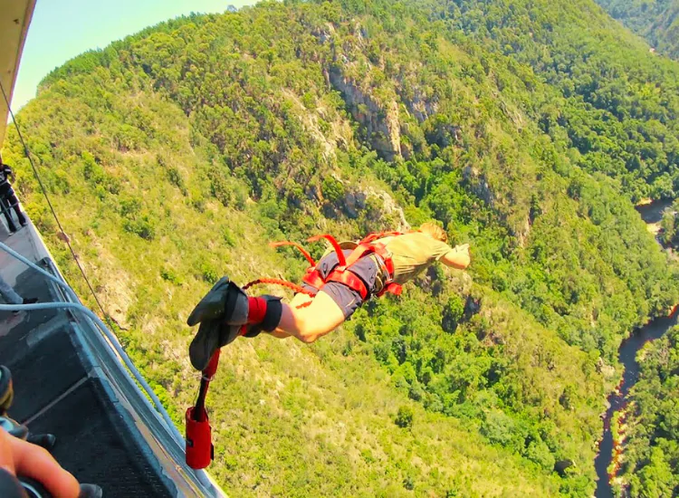 Bungee Jumping - Things to Do in South Africa