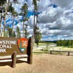 Best Time To Visit Yellowstone National Park